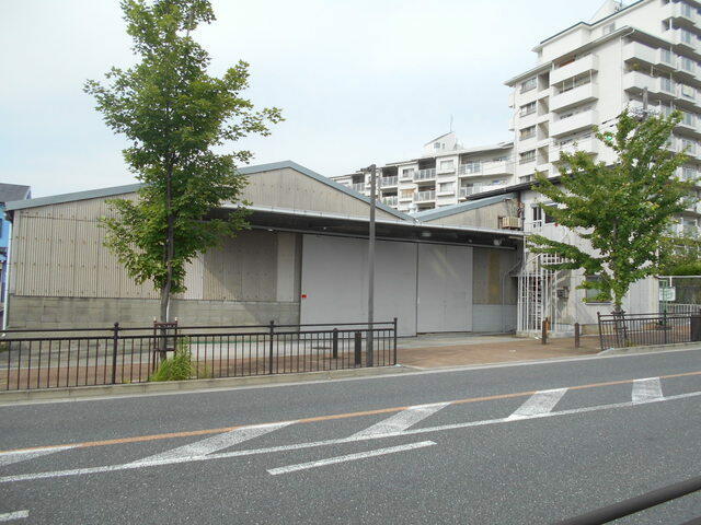 ������� ���Ĥ��Ҹ�ʪ��β���